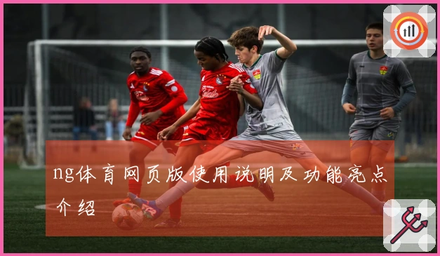 ng体育网页版使用说明及功能亮点介绍