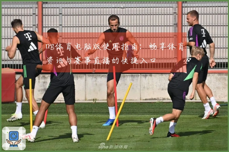 ng体育电脑版使用指南：畅享体育资讯与赛事直播的快捷入口