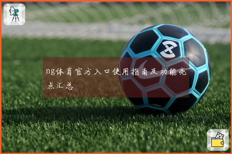 ng体育官方入口使用指南及功能亮点汇总
