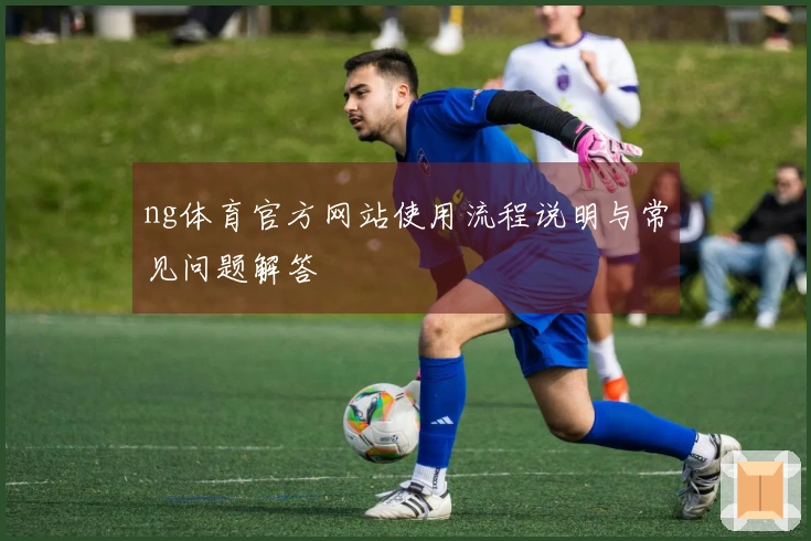 ng体育官方网站使用流程说明与常见问题解答