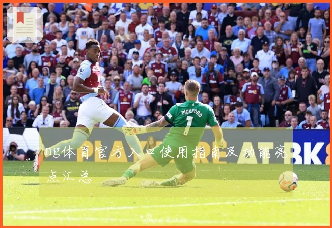 ng体育官方入口使用指南及功能亮点汇总