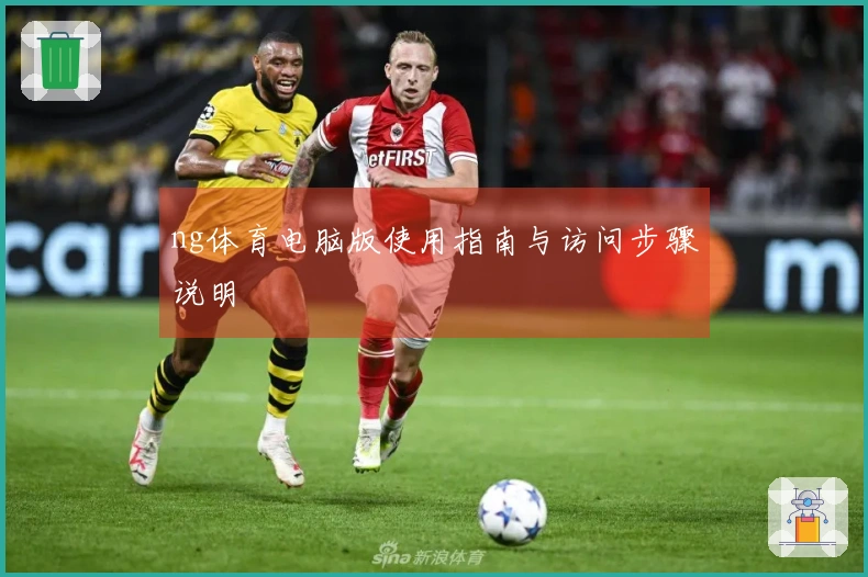 ng体育电脑版使用指南与访问步骤说明